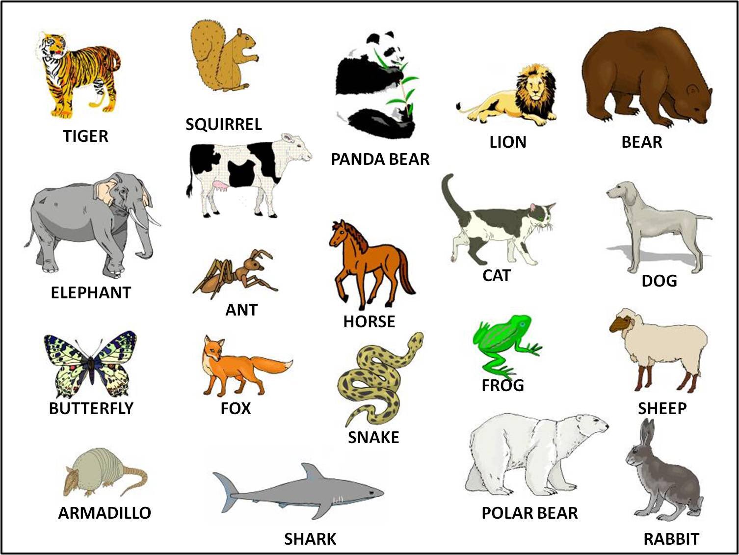 اسماء حيوانات بالانجليزي ومترجمة pdf