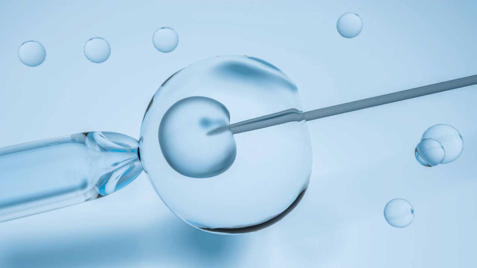 عملية تحديد نوع الجنين وتكلفتها