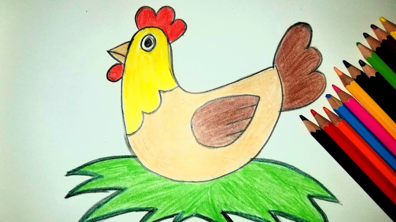 اسهل طريقة رسم دجاجة للاطفال
