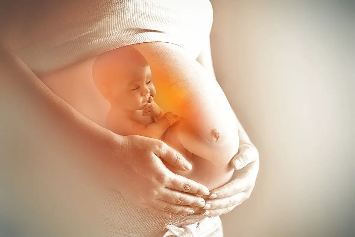 كيف تكون حركة الجنين في الشهر السادس