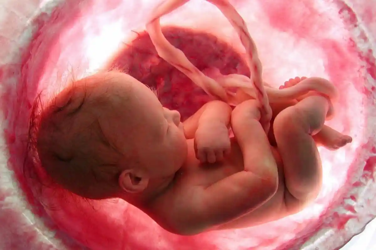 كيف تحس الحامل البكر بحركة الجنين في الشهر الرابع