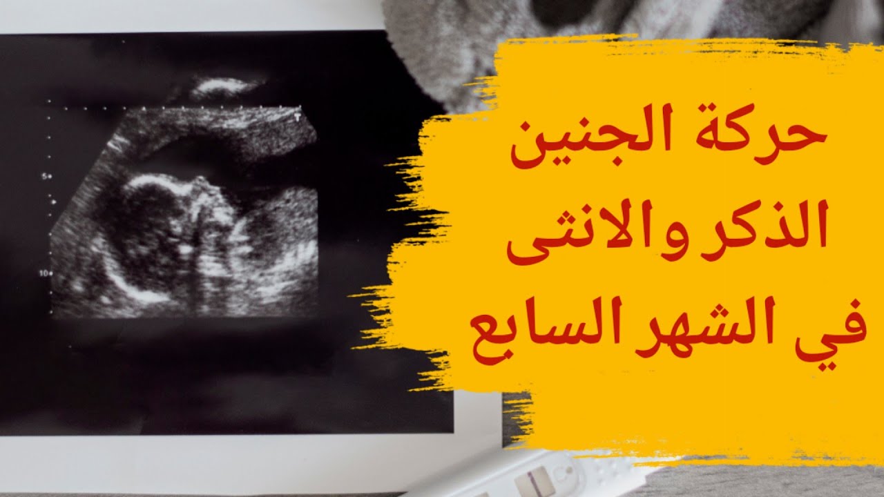 كيف تكون حركة الجنين في الشهر السابع من الحمل 