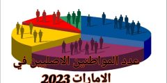 عدد المواطنين الأصليين في الامارات 2023