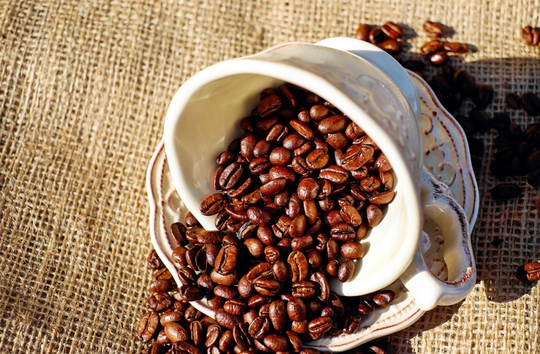 كيف أسوى قهوة عربية لشخص واحد