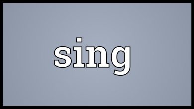 ما معنى كلمة sing